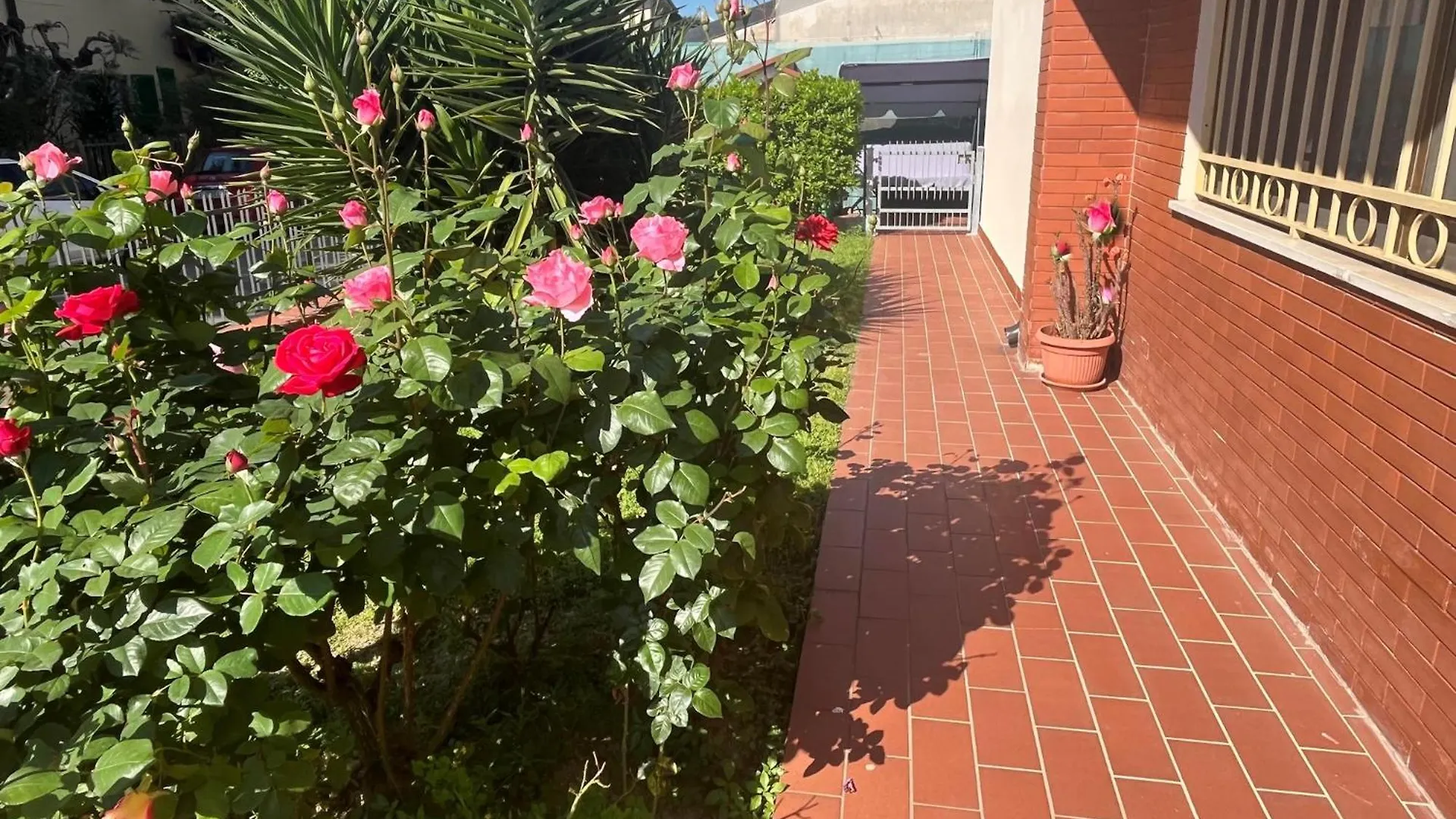Apartment Comfort House Pisa Italy