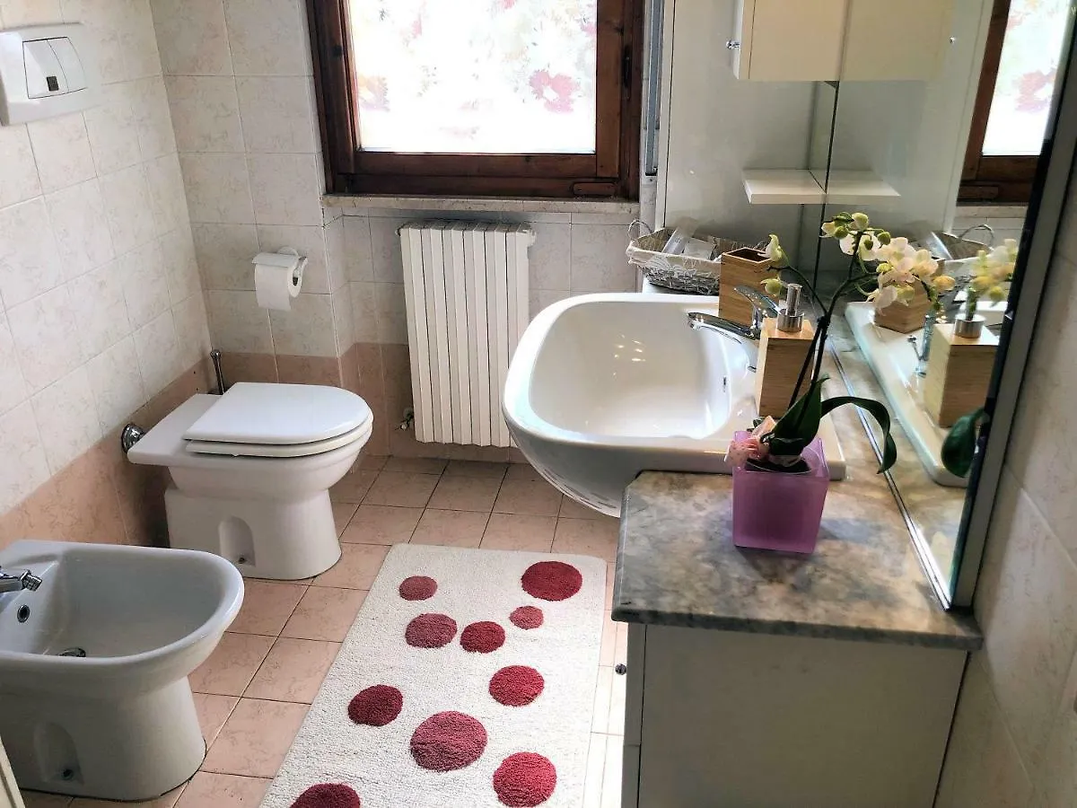 Comfort House Pisa Apartment